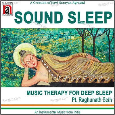 Sound Sleep Cover