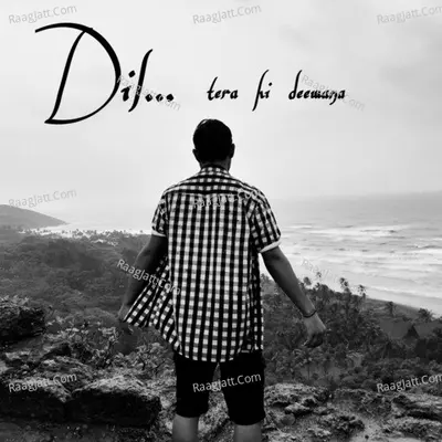 Dil... Tera Hi Deewana Cover