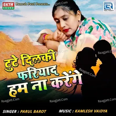 Tute Dilki Fariyad Hum Na Karenge Cover