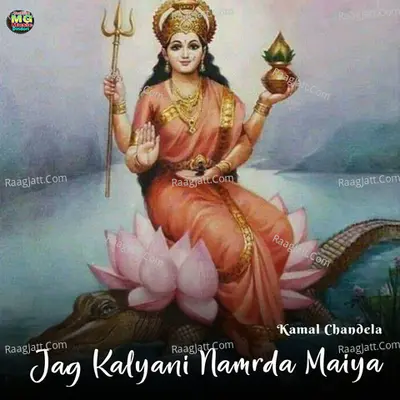 Kamal Chandela Image