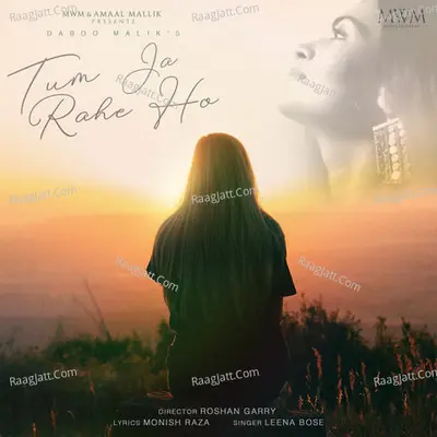 Tum Ja Rahe Ho Cover