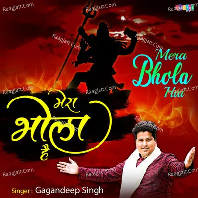 Mera Bhola Hai Cover
