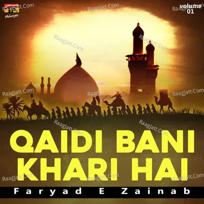 Qaidi Bani Khari Hai, Vol. 1 - Faryad E Zainab