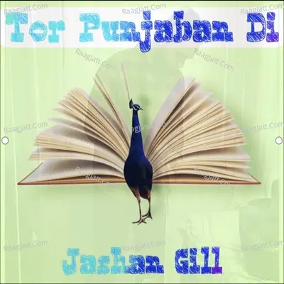 Tor Punjaban Di Cover