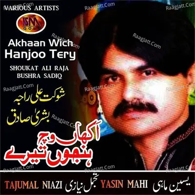 Akhaan Wich Hanjoo Tery, Vol 4 Cover