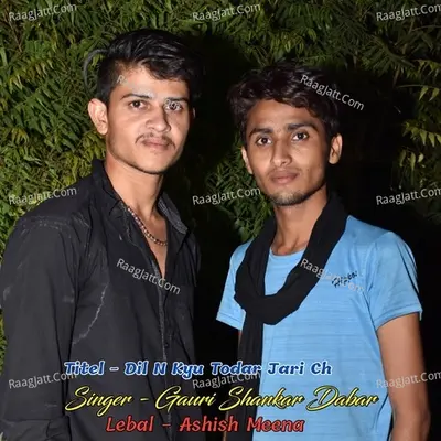 Dil N Kyu Todar Jari Ch Cover