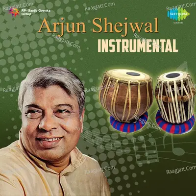 Arjun Shejwal (instrumental)