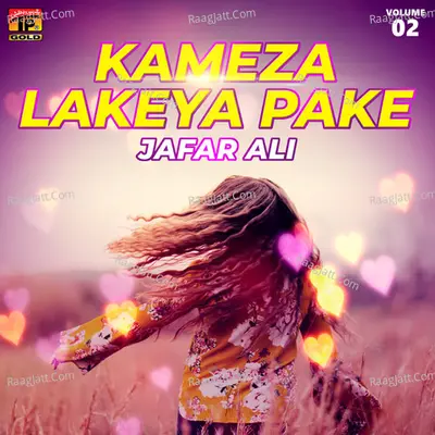 Kameza Lakeya Pake, Vol. 2 Poster