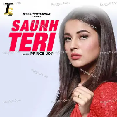 Saunh Teri