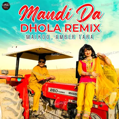Mandi Da Dhola (Remix) Cover