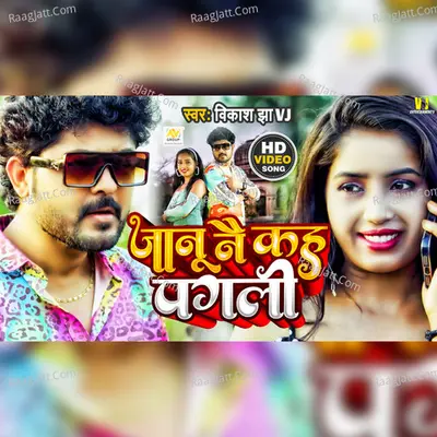 Jaanu Ne Kah Pagali Cover