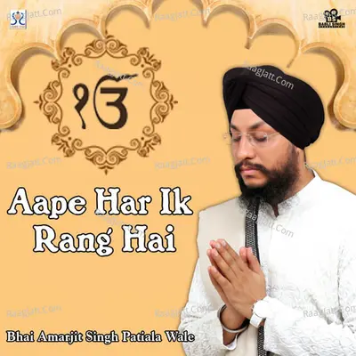 Aape Har Ik Rang Hai - Bhai Amarjit Singh