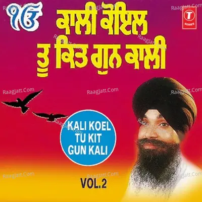 Kali Koyal Too Kitt Gunn Kali Poster
