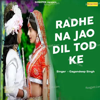 Radhe Na Jao Dil Tod Ke Cover