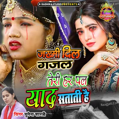 Teri Har Pal Yaad Satati Hai Cover