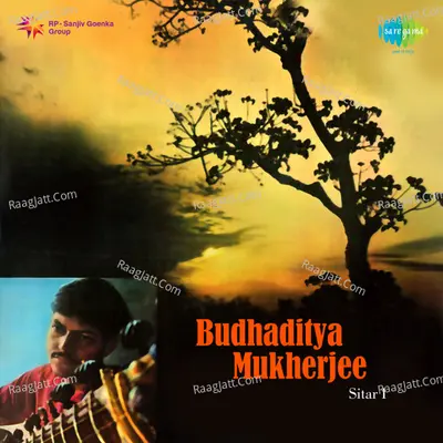 Pt. Budhaditya Mukherjee - Sitar Poster