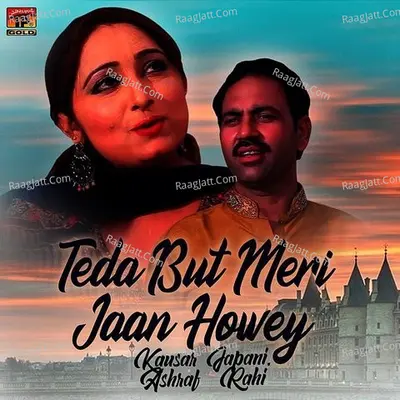 Teda But Meri Jaan Howey - Single Cover