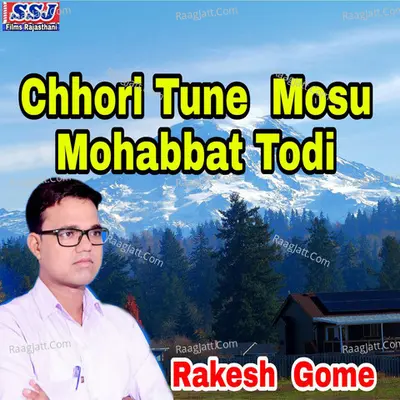 Chhori Tune Mosu Mohabbat Todi Cover