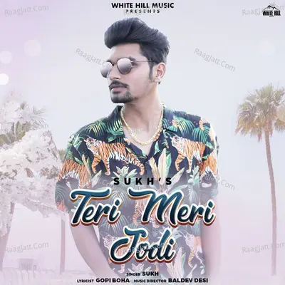 Teri Meri Jodi Cover