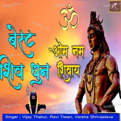 Om Namah Shivay Cover