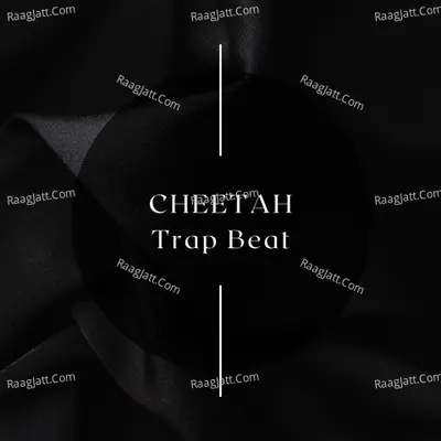 Cheetah Cover