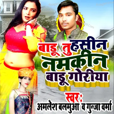 Badu Tu Haseen Namkeen Badu Goriya