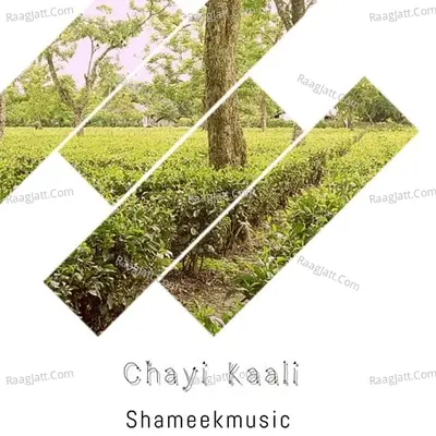 Manzile-Chayi Kaali Cover
