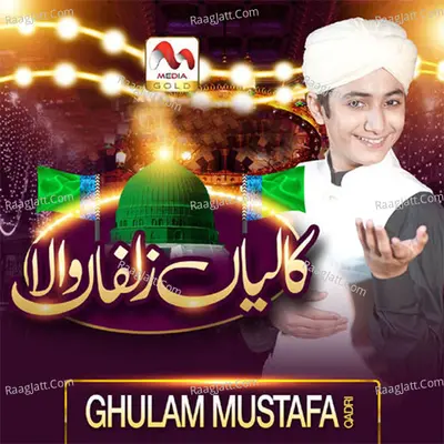Kaliyan Zulfan Wala Cover