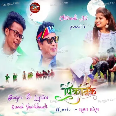 Picnic Cover