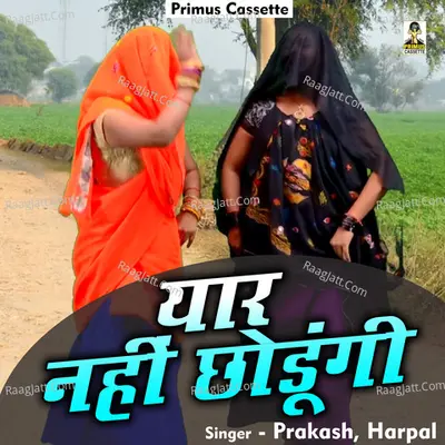 Yaar nahin chhodungi Cover
