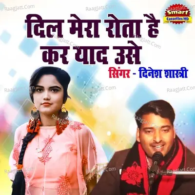 Dil Mera Rota Hai Kar Yaad Usse Cover