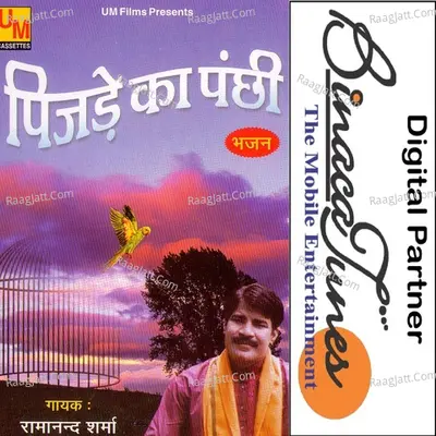 Pinjre Ke Panchhi Poster