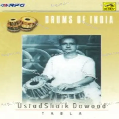 Drums Of India - Shaikh Dawood (tabla) - Ustad Shaikh Dawood