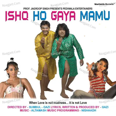 Ishq Ho Gaya Mamu Poster