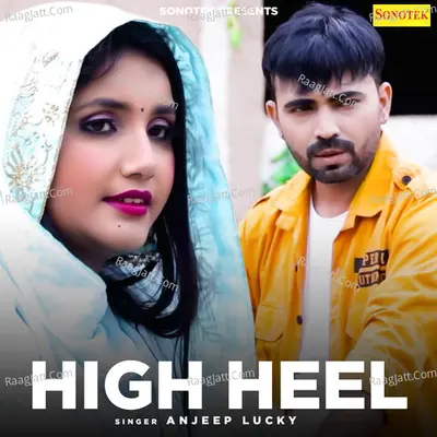 High Heel Cover