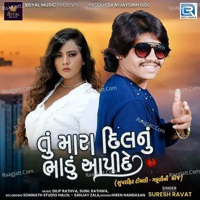 Tu Mara Dilnu Bhadu Aapi De Poster