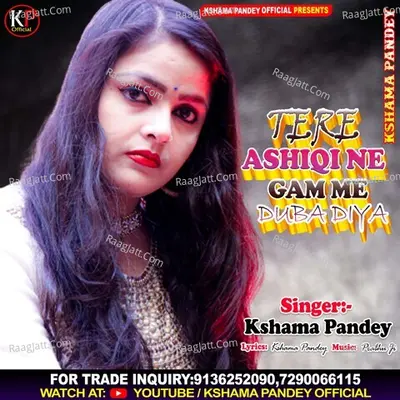 Tere Ashiqi Ne Gam Duba Diya Cover