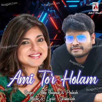 Ami Tor Holam (Brishti) Cover