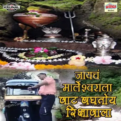 Jayach Marleshwarala Vat Baghtoy Rikshawala - Shrikrishna Sawant
