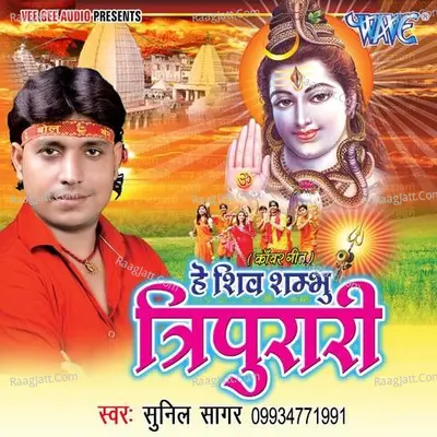 Hey Shiv Shambhu Tripurari Poster