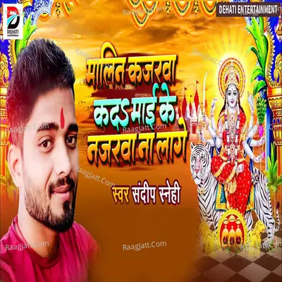 Sandeep Sanehi Image