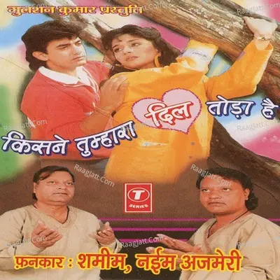 Kisi Ne Tumhara Dil Toda Hai Poster