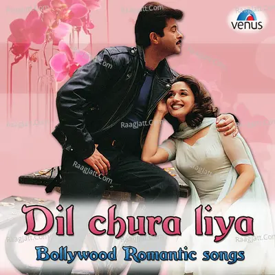 Dil Chura Liya - Bollywood Romantic Songs - Nadeem - Shravan