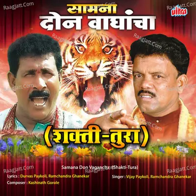 Vijay Paykoli Image