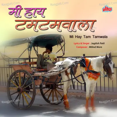 Mi Hay Tam Tamwala Cover
