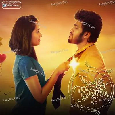 Nilavum Maraindhu Pogudhey Cover