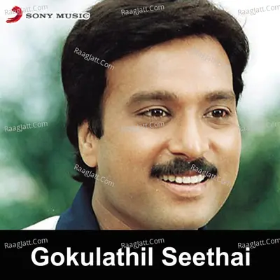 Gokulathil Seethai (Original Motion Picture Soundtrack) - Deva