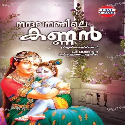 Nandavanathile Kannan Poster