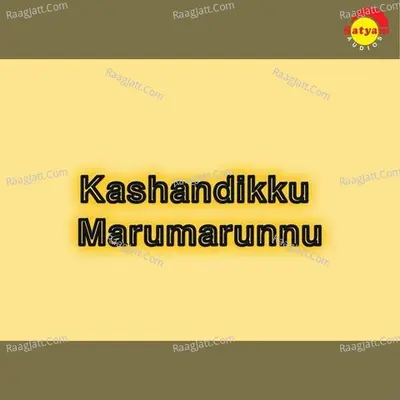 Kashandikku Marumarunnu - Shyam