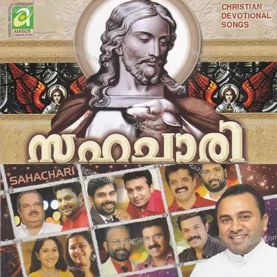 Sahachaari - Krishna